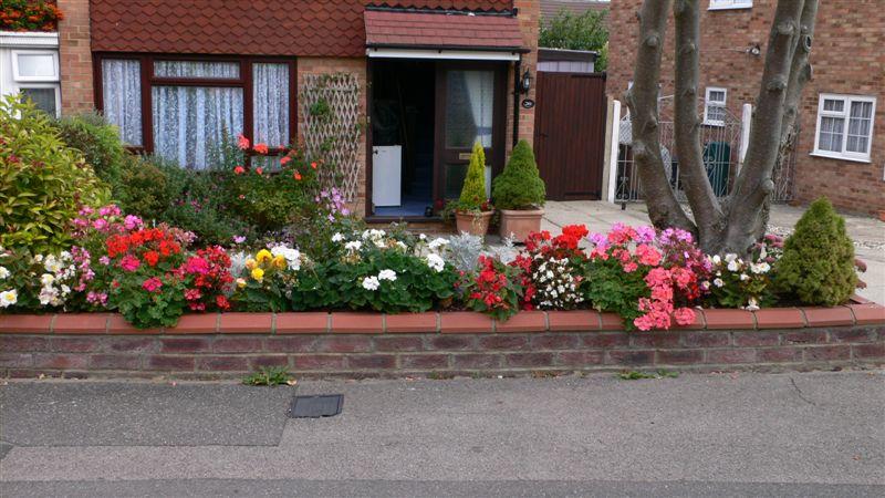 Tile Kiln Residents' Association Garden Competition Winner